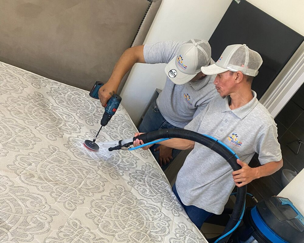Bed & Mattress Cleaning